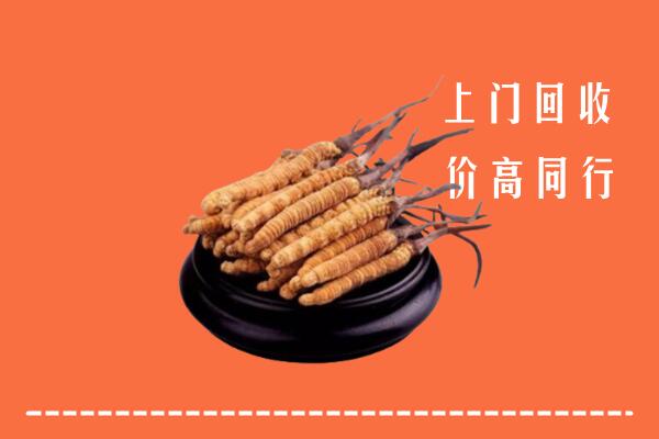 高价求购：唐山市回收散虫草