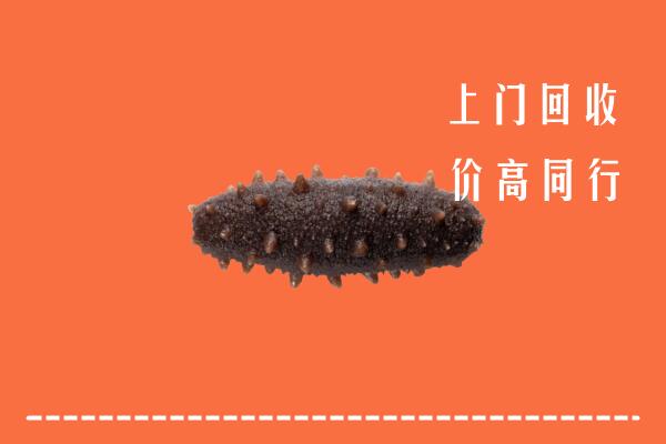 高价求购：唐山市回收海参